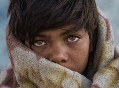 what we do 002 free img